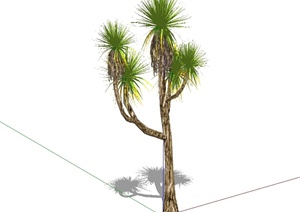 某详细的经典树木植物素材设计SU(草图大师)模型
