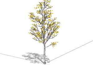 某详细的单棵景观树木素材设计SU(草图大师)模型