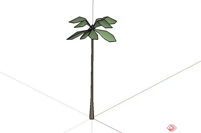 简洁棕榈植物素材设计SU模型(1)