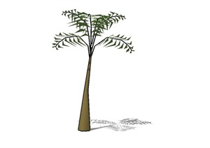 简约棕榈树设计SU(草图大师)模型