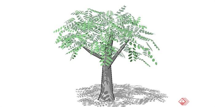 经典简约植物素材设计SU模型(1)