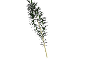 经典竹子植物素材设计SU(草图大师)模型