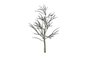 经典枯树植物素材设计SU(草图大师)模型
