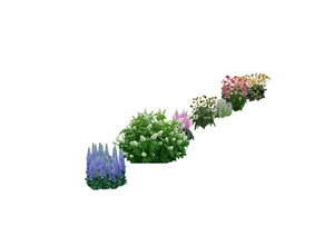 某多棵花卉植物素材设计SU(草图大师)模型