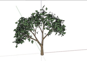 某简约植物素材设计SU(草图大师)模型