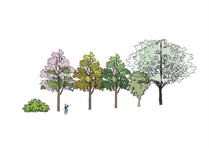 某多棵树木手绘植物设计SU(草图大师)素材模型