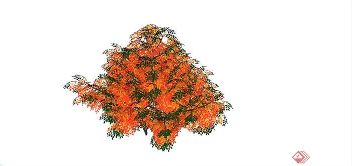 某精致色叶树设计SU模型(2)