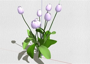 精致花卉植物设计SU(草图大师)模型