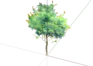 某手绘2d树木素材设计SU(草图大师)模型