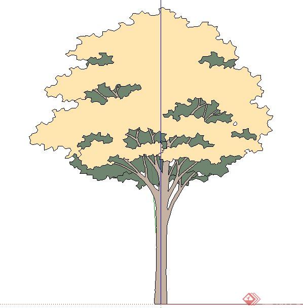 黄色树木植物su素材模型(1)