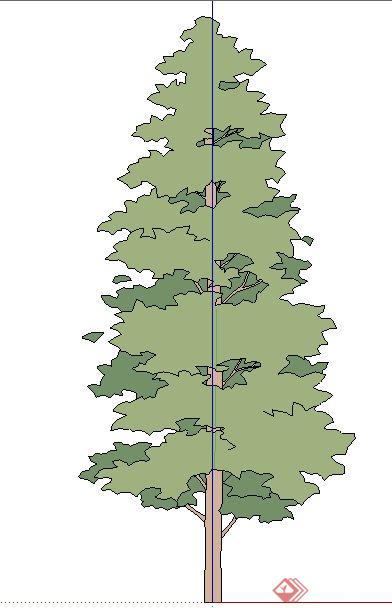 单株树木植物su素材模型(1)