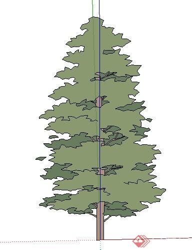 单株树木植物su素材模型(2)