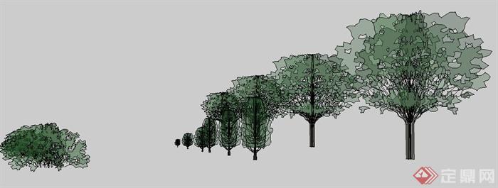 简易行道树植物素材SU模型(2)