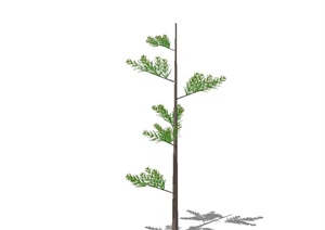 某园林单棵树木植物素材设计SU(草图大师)模型