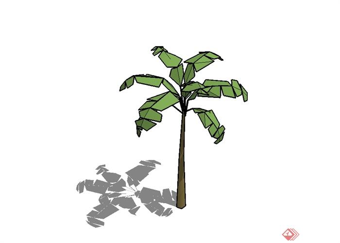 单棵经典芭蕉树植物素材设计SU模型(2)