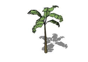 单棵经典芭蕉树植物素材设计SU(草图大师)模型