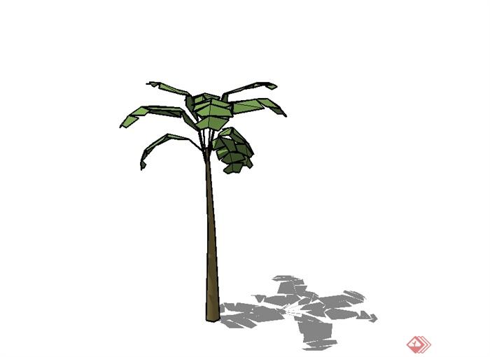 单棵经典芭蕉树植物素材设计SU模型(3)