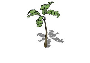 经典单棵芭蕉树植物素材设计SU(草图大师)模型
