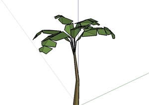 经典单棵弯曲的芭蕉树素材设计SU(草图大师)模型