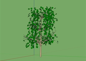 单棵经典乔木植物素材SU(草图大师)模型