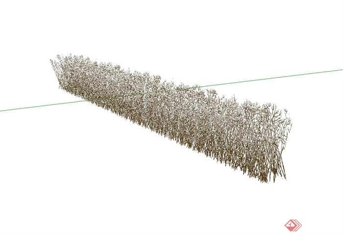 经典干枯的灌木丛植物素材设计SU模型(1)