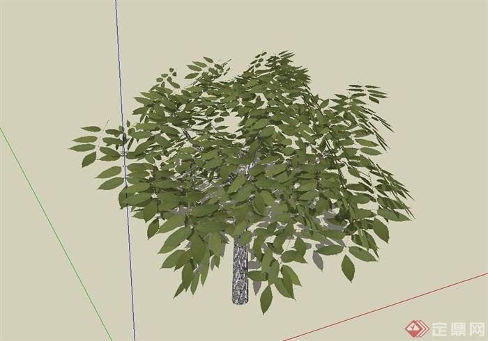 经典完整的树木植物素材设计SU模型(2)