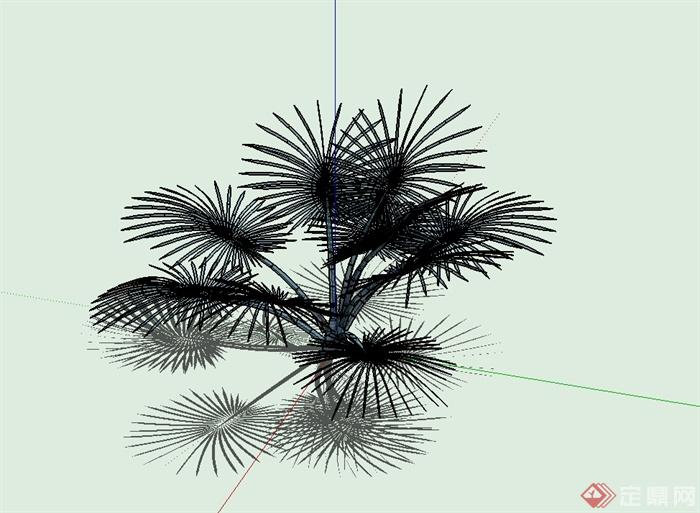经典棕榈灌木植物素材设计SU模型(2)
