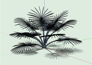 经典棕榈灌木植物素材设计SU(草图大师)模型