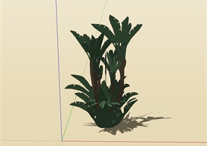 芭蕉树素材设计SU(草图大师)模型