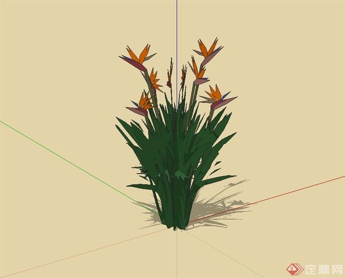 经典详细花卉植物素材设计SU模型(2)