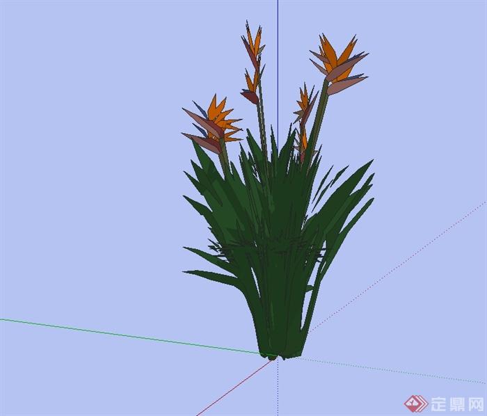 经典详细花卉植物素材设计SU模型(3)