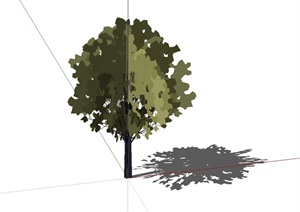 某简单的树木植物素材设计SU(草图大师)模型