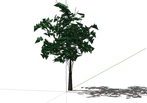 某单棵完整的树木素材设计SU(草图大师)模型
