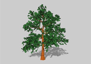 园林景观详细完整的树木植物素材设计SU(草图大师)模型
