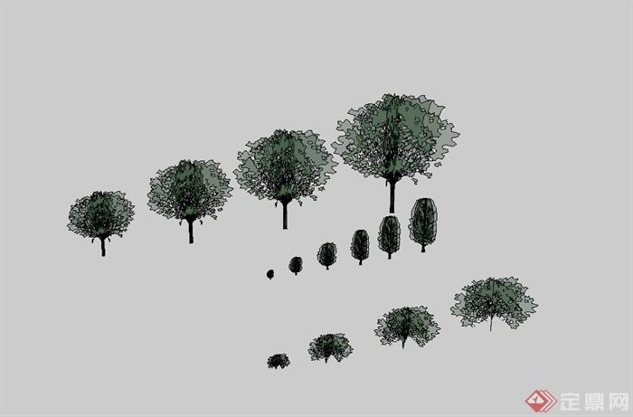 经典多棵树木植物素材设计SU模型(2)