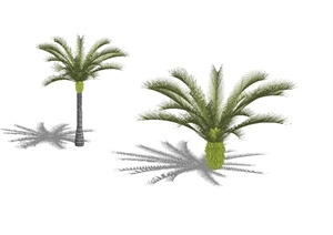 经典两棵海藻树植物素材设计SU(草图大师)模型
