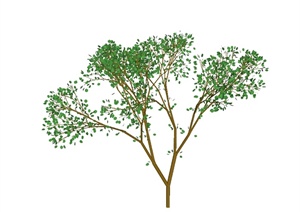 经典景观乔木植物素材设计SU(草图大师)模型