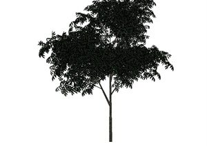 某园林景观详细经典树木植物素材设计SU(草图大师)模型