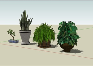 经典四盆景观植物素材设计SU(草图大师)模型