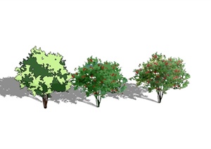 某三棵经典树木植物素材设计SU(草图大师)模型