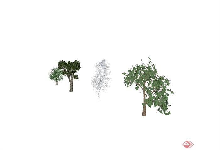 某四棵景观树木设计SU模型(2)