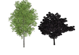 两棵经典详细树木植物素材设计SU(草图大师)模型