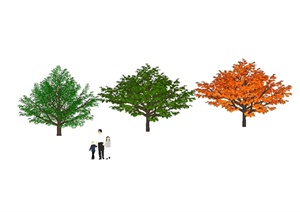 三棵详细经典树木植物素材设计SU(草图大师)模型