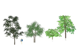 四棵经典树木植物素材设计SU(草图大师)模型