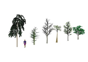 六棵景观树木植物素材设计SU(草图大师)模型
