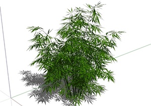 经典详细竹子植物素材设计SU(草图大师)模型