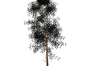 某单棵完整的经典树木植物素材设计SU(草图大师)模型