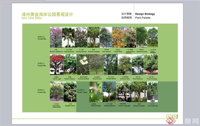 漳州南太武现代风格黄金海岸景观规划设计PPT方案(4)