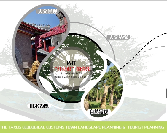 上饶红豆杉生态风情小镇旅游规划设计设计方案高清文本(5)