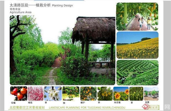 成都郫县沱江河景观规划设计PDF方案(14)